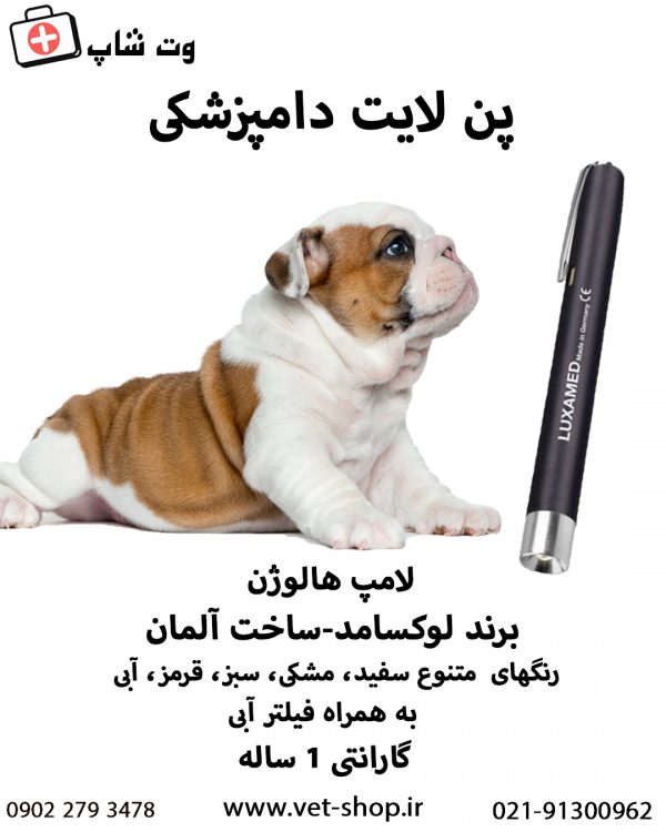 چراغ معاینه (پن لایت) دامپزشکی لوکسامد - تصویر 6