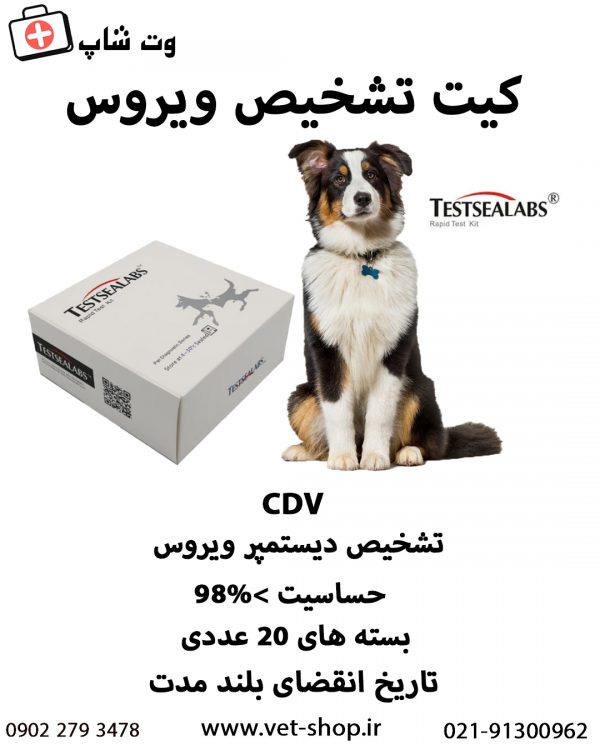 کیت تشخیص سریع دیستمپر ویروس دامی(CDV) - 10 عددی - تصویر 2