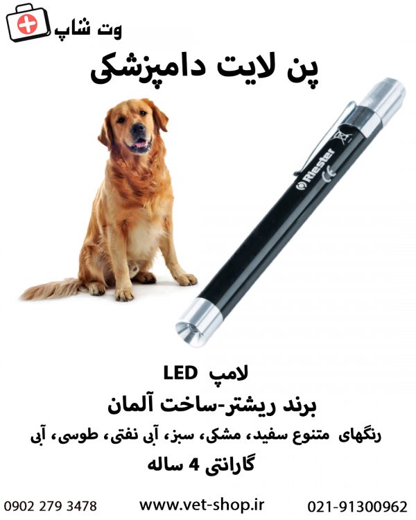 چراغ معاینه (پن لایت) دامپزشکی ریشتر - تصویر 3