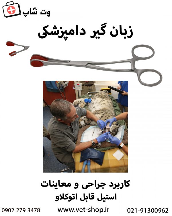 زبان گیر دامپزشکی - تصویر 2
