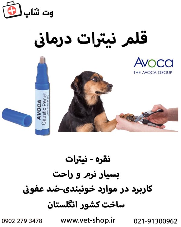 قلم نیترات ( نقره ) - تصویر 2