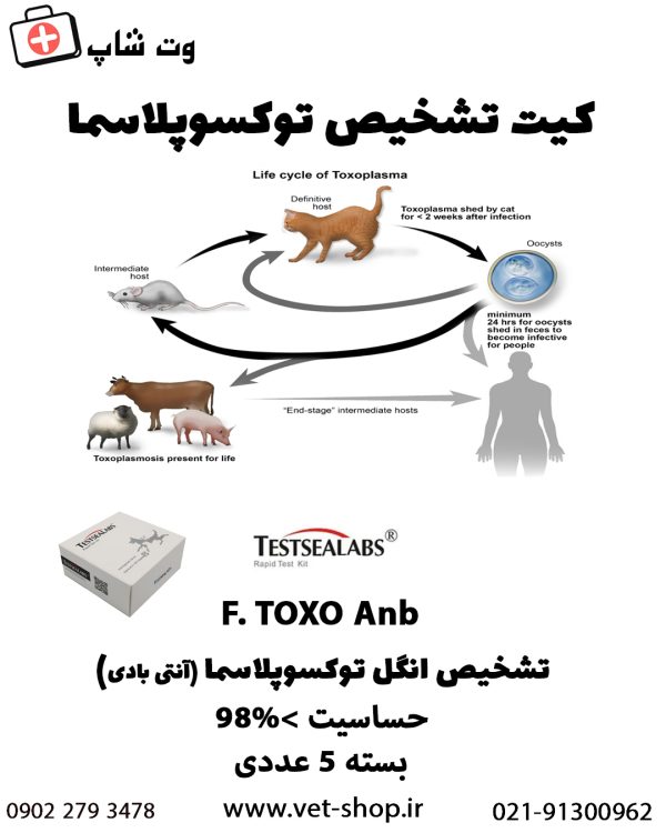کیت تشخیص توکسوپلاسما toxo گربه سانان - تصویر 2
